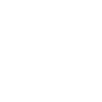 Logo partnera: format
